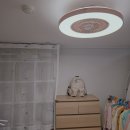 모  전 | 방 실링팬 조명 7엽날개 모야무 실링팬 설치 후기