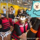 (주)합천호워터월드 | 대구 근교 빠지' 합천 풀헤븐 워터월드' 솔직후기