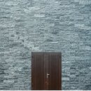 ANOTHER DOG 이미지