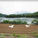 신114부동산공인중개사사무소 이미지