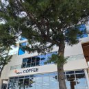 동호블루 | 양양 동호해변 카페 커피볶는집 시다모 아기랑 루프탑 카페 후기