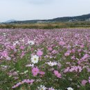 물천2리 네이버블로그