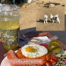 평화커피숍 - 남해군 창선로 100 | 전남 화순 카페 | 입장료 안 받는 애견동반카페 ‘알메로 커피 앤 브런치’