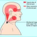 신갈한의원 이미지