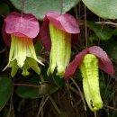 반포삼정공인중개사사무소 이미지