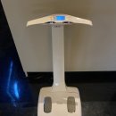 페르소나 피티 이미지