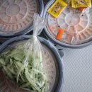 본항정밀면 | 거제 아주동 본항정밀면 본물밀면 보통/특, 본비빔밀면 보통 후기