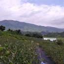 정진석농장 이미지