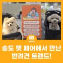 비비에스미용예술실용전문학교 | 2026 인천 펫 페어, 송도 컨벤시아에서 만난 반려견 트렌드!