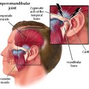 턱관절 장애 (temporomandibular disorder) 1 이미지