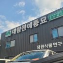 청평종묘