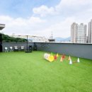 퍼피댕글 이미지