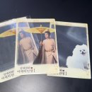 관홍 | 서울로 내한 온다는 성세천하 배우들?? 팬미팅 정보 및 작년 지스타 후기