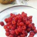 캠프클럽 이미지