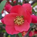 삼죽작은도서관 이미지