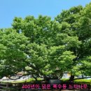 벌말 경로당 이미지