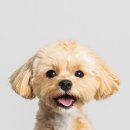 스튜디오오오씨