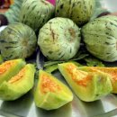 김인숙 농장 이미지