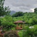 약손요양병원 이미지