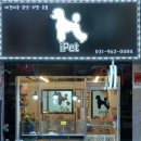 도도애견샵 이미지