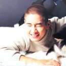 안녕하세요 이미지