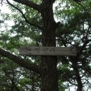 인동1리 이미지