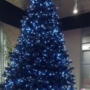 보스휘트니스 이미지