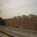 G1033 이미지