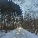 원창(2) | 눈 온 후 춘천 금병산 등산 후기: 들머리 원창 고개 - 2026. 2. 1. 월