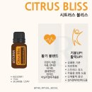 블리스박스 이미지