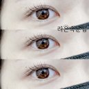 라은속눈썹