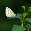 곤충생태관_4 이미지