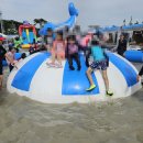 2025.08.08. 보령머드축제 이미지