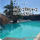클레오파트라호텔 | 이집트 여행-7 후루가다 더부티크호텔 수영장,헬스장(블루비치클럽) &amp; 클레오파트라 하맘,전신마사지 후기