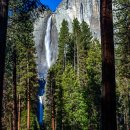 미국 요세미티 국립공원 요세미티 폭포(Yosemite Falls) 이미지