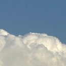 조야초등학교 | 2025 대구정원박람회 하중도 가을 나들이 다녀온 후기