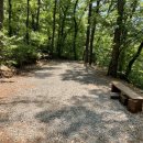 공지숲매점 이미지