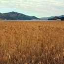 창선생활체육공원 이미지