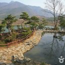 348 이미지