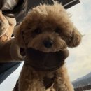 아틴해우 이미지