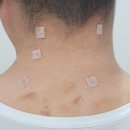 새순천한방병원 이미지