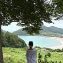 은빛 비치는 돌 | 남해 해수욕장 상주은모래비치 샤워장 포토존 정보