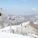 영월스키 이미지