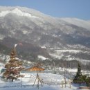 장수송학골로 이미지