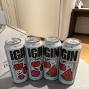 새콤달콤 | 크리스마스 술 캔하이볼 추천 아이긴(IGIN) 새콤달콤 토닉 후기