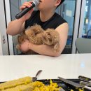 애견동반 대부도 풀빌라 네이베이 솔직후기(개별실내수영장+온수+노래방기계)