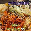 미아오비베어
