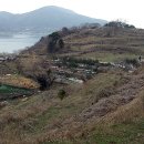 옥포항(조라) 이미지