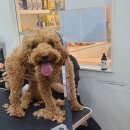 몽몽살롱 이미지