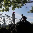 단비치과기공소 이미지